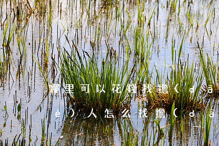 哪里可以花錢找擔(dān)保人-個(gè)人怎么找擔(dān)保公司貸款