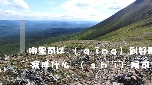 哪里可以請(qǐng)到好刑事律師(刑事案件什么時(shí)候可以找律師)
