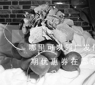 哪里可以领广发信用卡分期优惠卷-广发分期优惠券在哪领