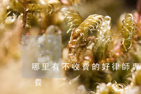 哪里有不收費的好律師(專業(yè)律師收費)