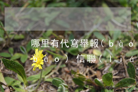 哪里有代寫舉報(bào)信的(代寫舉報(bào)信聯(lián)系方式)
