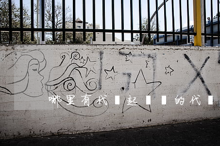 哪里有代寫起訴書的(代寫訴訟書)
