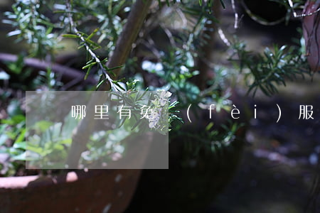哪里有免費(fèi)服務(wù)合同糾紛