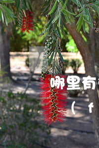 哪里有免費(fèi)法律援助(怎么可以免費(fèi)法律援助)