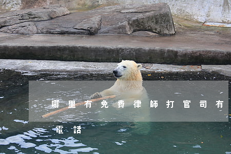 哪里有免費律師打官司(有免費打官司的律師電話)