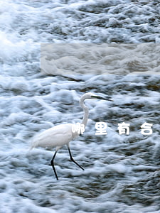 哪里有合同糾紛律師服務(wù)