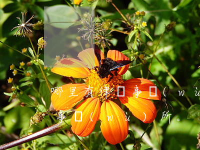 哪里有律師事務(wù)所(余姚哪里有律師事務(wù)所)