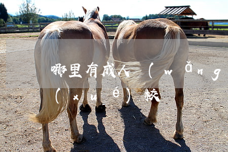 哪里有成人網(wǎng)站(哪里有成人學(xué)校)