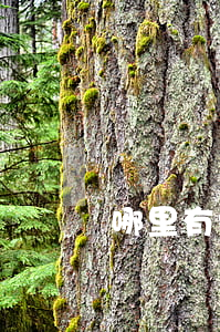 哪里有拆遷律師(哪里有拆遷專業(yè)律師)