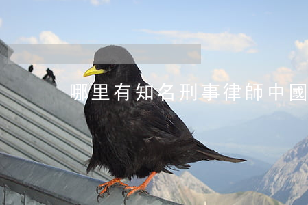 哪里有知名刑事律師(中國最牛刑事律師)