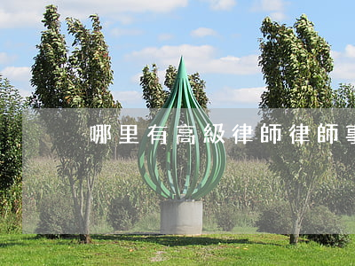 哪里有高級律師(律師事務(wù)所律所)