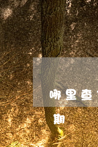 哪里查支付寶逾期 怎么查詢支付寶是否有逾期