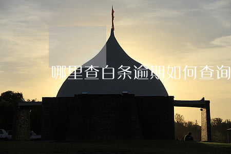 哪里查白条逾期(如何查询白条逾期记录)