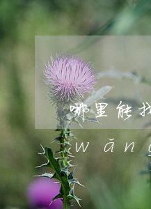 哪里能找到欠網(wǎng)貸的人(欠網(wǎng)貸能找到工作嗎)