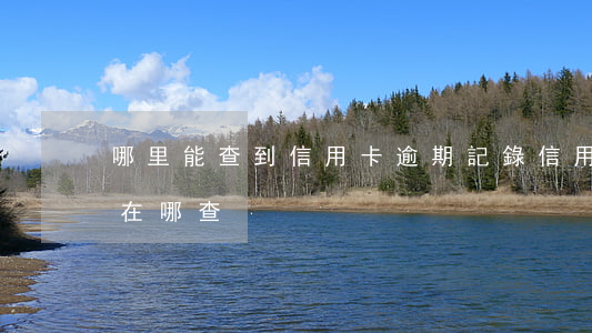 哪里能查到信用卡逾期記錄（信用卡逾期多久在哪查）