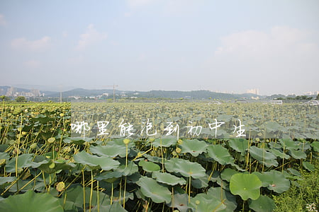 哪里能泡到初中生