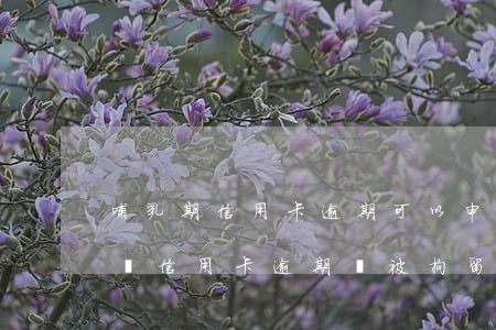 哺乳期信用卡逾期可以申請分期嗎(哺乳期媽媽信用卡逾期會被拘留嗎)