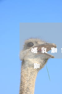 哺乳期信用卡逾期會(huì)坐牢嗎(哺乳期媽媽信用卡逾期會(huì)被拘留嗎)