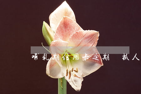 哺乳期信用卡逾期會抓人嗎