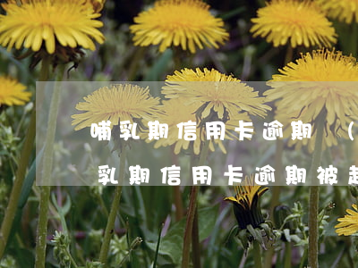 哺乳期信用卡逾期經(jīng)偵傳喚(哺乳期信用卡逾期被起訴,可以延期開庭嗎)