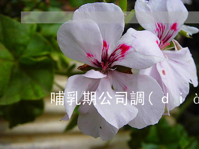哺乳期公司調(diào)崗