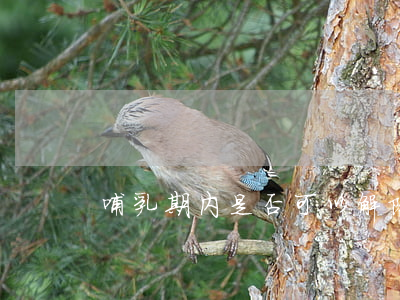 哺乳期内是否可以解除聘用合同