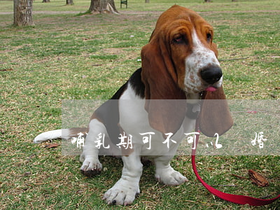 哺乳期可不可以離婚