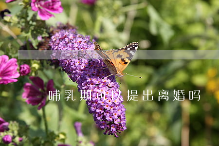 哺乳期可以提出离婚吗