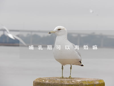 哺乳期可以离婚嘛