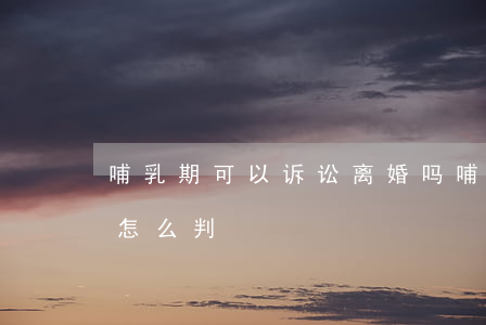 哺乳期可以诉讼离婚吗(哺乳期能离婚吗孩子怎么判)