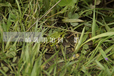 哺乳期如何離婚