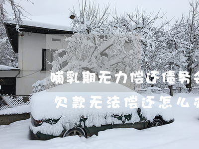 哺乳期无力偿还债务会上黑名单吗-哺乳期欠款无法偿还怎么办