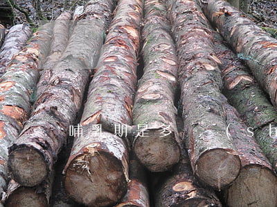 哺乳期是多長時(shí)間