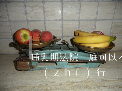 哺乳期法院開庭可以不去嗎(哺乳期法院可以執(zhí)行嗎)