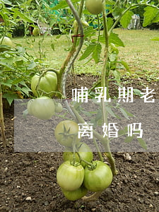 哺乳期老公可以诉讼离婚吗(哺乳期可以起诉离婚吗?)