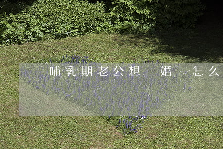 哺乳期老公想離婚該怎么辦
