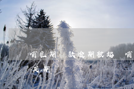 哺乳期貸款逾期被起訴(哺乳期欠錢被起訴會延期)