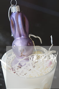 哺乳期離婚孩子