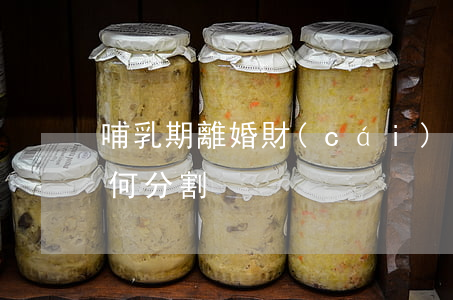 哺乳期離婚財(cái)產(chǎn)如何分割