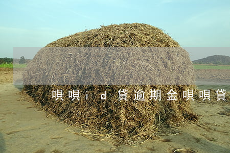 唄唄id貸逾期(金唄唄貸款)