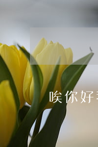 唉你好我想問(wèn)一下