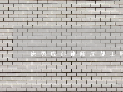 唐勇成都律師(成都王興東律師)