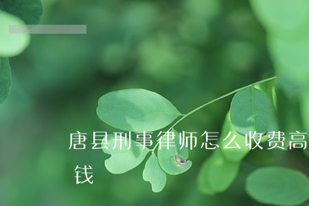 唐县刑事律师怎么收费(高唐律师咨询费多少钱)