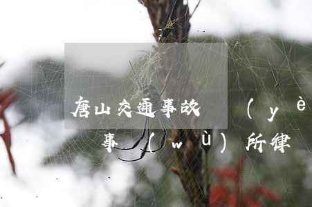 唐山交通事故專業(yè)律師(唐山杰大律師事務(wù)所律師簡介)