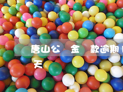 唐山公積金還款逾期1天(公積金還款逾期幾天)