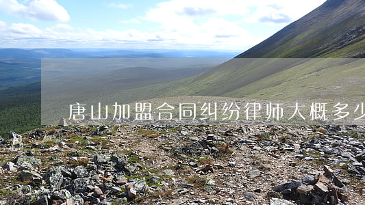 唐山加盟合同纠纷律师大概多少钱