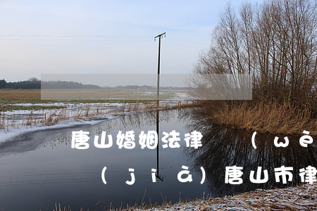 唐山婚姻法律顧問(wèn)報(bào)價(jià)(唐山市律師收費(fèi)標(biāo)準(zhǔn))