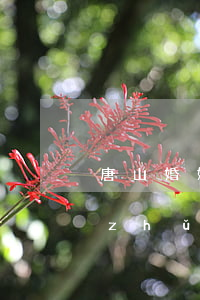 唐山婚姻法律顧問收費標(biāo)準(zhǔn)(唐山市律師收費標(biāo)準(zhǔn))