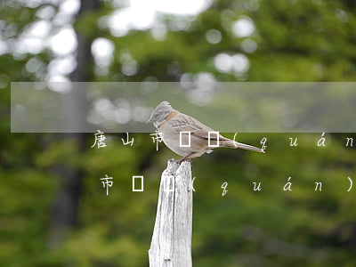 唐山市債權(quán)債務律師電話（唐山市債權(quán)債務律師）