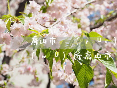 唐山市豐潤(rùn)區(qū)律師事務(wù)所(唐山市豐潤(rùn)區(qū)律師事務(wù)所電話)